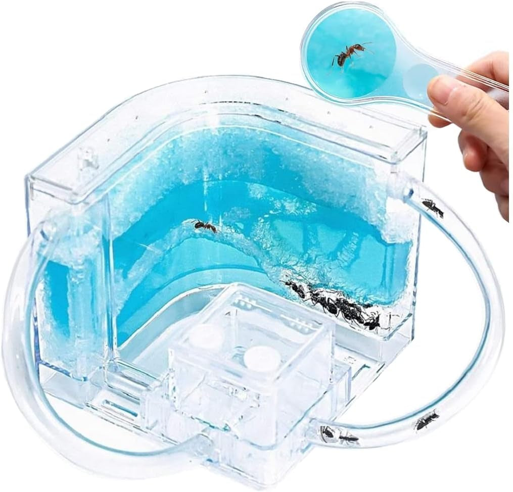Ant Farm Castle 2.0 with Connecting Tube