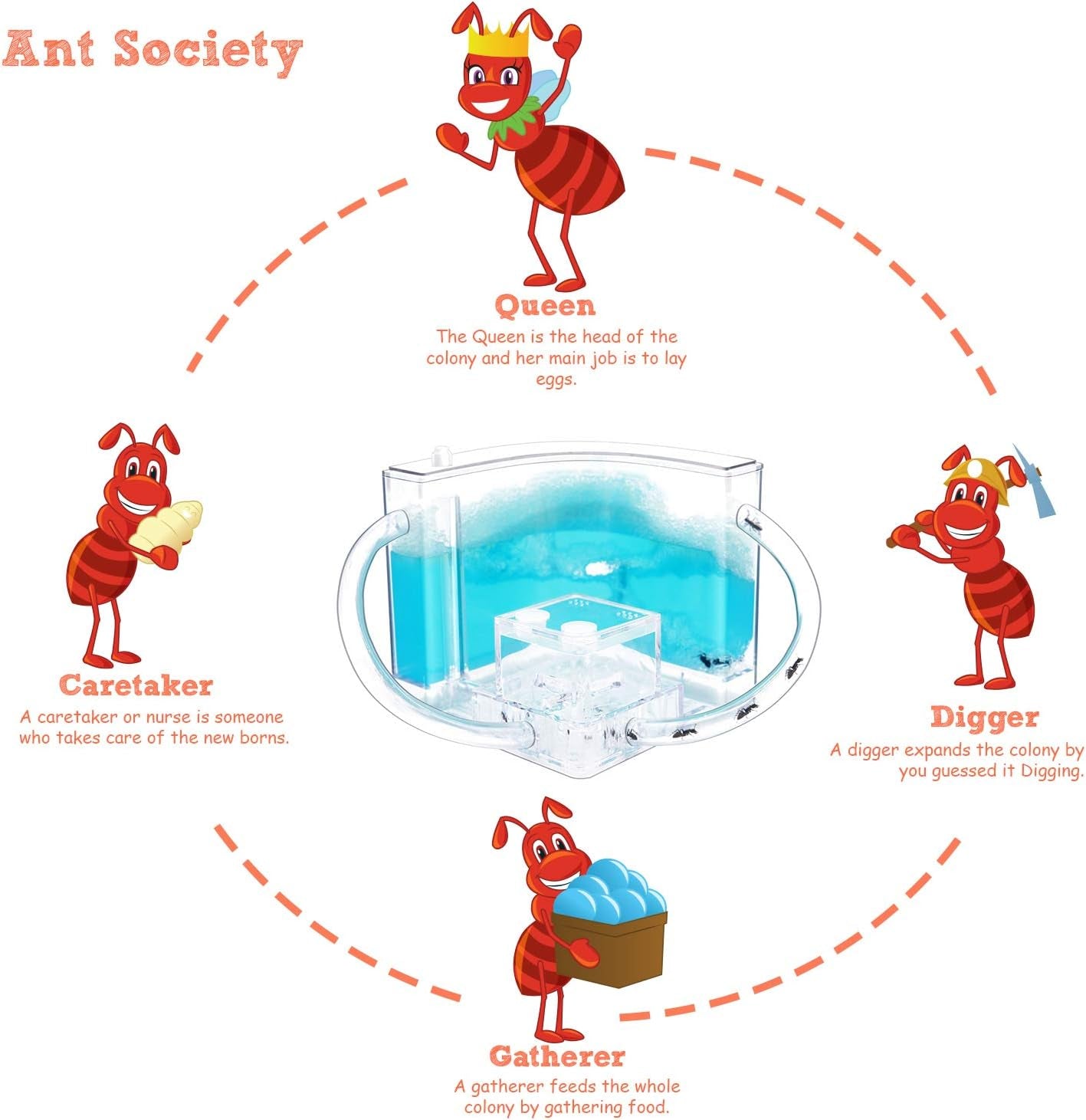 Ant Farm Castle 2.0 with Connecting Tube