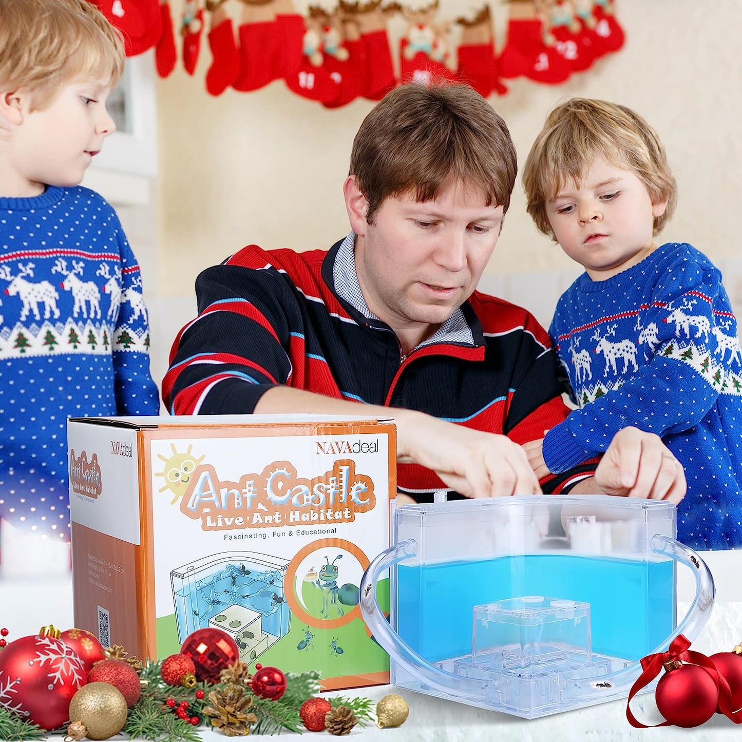 Ant Farm Castle 2.0 with Connecting Tube