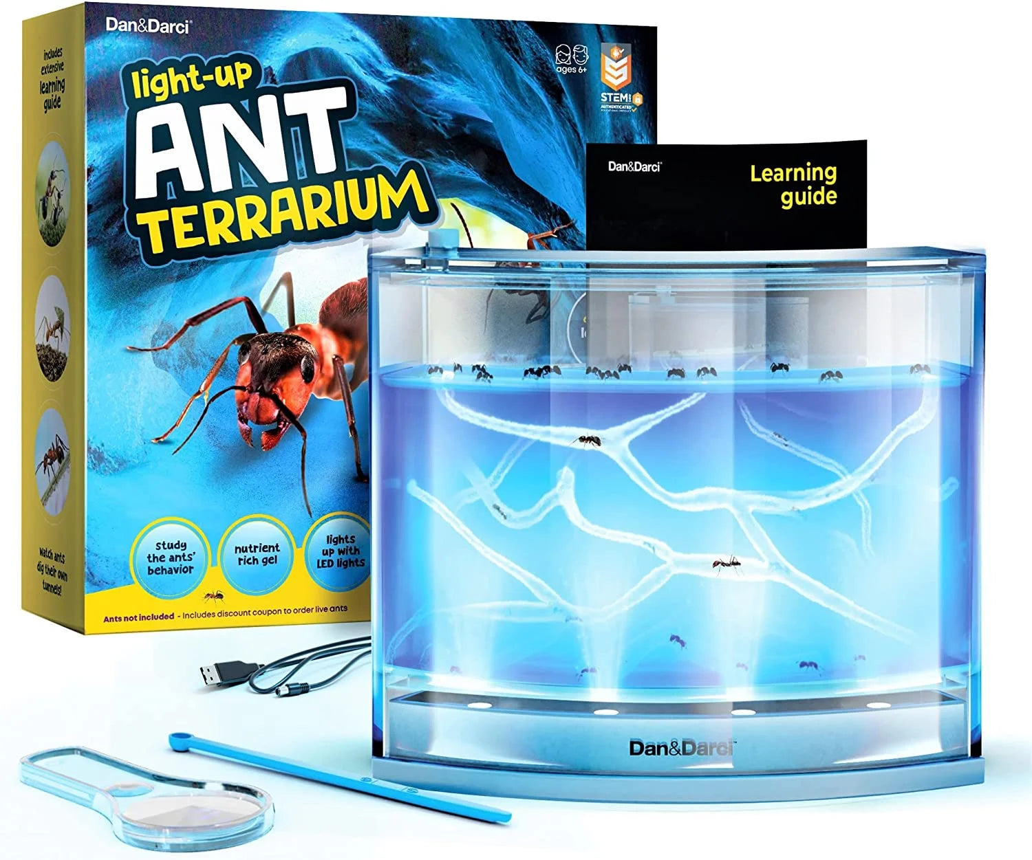 LED Light-Up Gel Ant Farm Kit for Kids